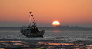 Szenenbild aus dem Film „Die Nordsee - Unser Meer“