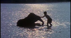 Szenenbild aus dem Film „Mein Freund, der kleine Elefant“