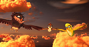 Video zum Film „Überflieger: Kleine Vögel – großes Geklapper“