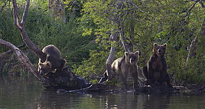 Szenenbild aus dem Film „Im Land der Bären“