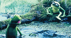 Szenenbild aus dem Film „Kermit, der Frosch“