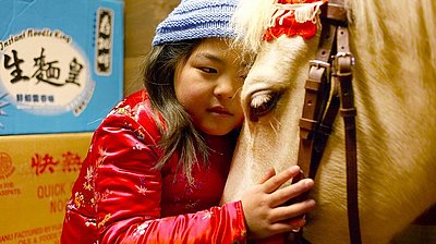 Szenenbild aus dem Film „Ein Pferd für Winky“
