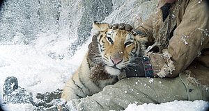 Szenenbild aus dem Film „Die Legende vom Tigernest“