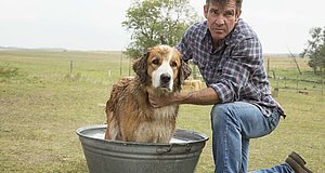 Szenenbild aus dem Film „Bailey - Ein Freund fürs Leben“