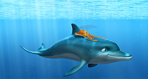 Video zum Film „Der Delfin - Die Geschichte eines Träumers“
