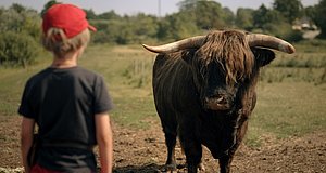 Szenenbild aus dem Film „Pixy, der kleine Wichtel“