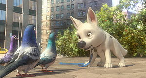 Szenenbild aus dem Film „Bolt – Ein Hund für alle Fälle“