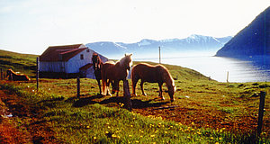 Szenenbild aus dem Film „Emil und der kleine Skundi“