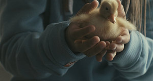 Szenenbild aus dem Film „Zugvögel – Wenn Freundschaft Flügel verleiht“