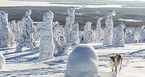 Szenenbild aus dem Film „Ailos Reise - Große Abenteuer beginnen mit kleinen Schritten“