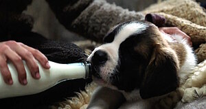 Szenenbild aus dem Film „Mein Freund Barry“