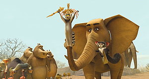 Szenenbild aus dem Film „Madagascar 2“