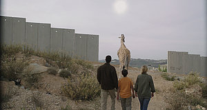 Szenenbild aus dem Film „Giraffada“