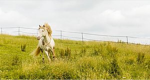 Szenenbild aus dem Film „Wendy - Der Film“