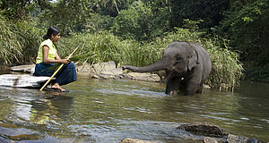 Szenenbild aus dem Film „Chandani und ihr Elefant“