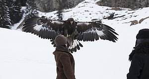 Szenenbild aus dem Film „Wie Brüder im Wind“