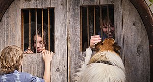 Szenenbild aus dem Film „Lassie - ein neues Abenteuer“