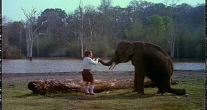 Szenenbild aus dem Film „Mein Freund, der kleine Elefant“