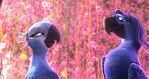 Szenenbild aus dem Film „Rio 2 - Dschungelfieber“