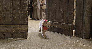 Szenenbild aus dem Film „Treasure Buddies – Die Schatzschnüffler in Ägypten“