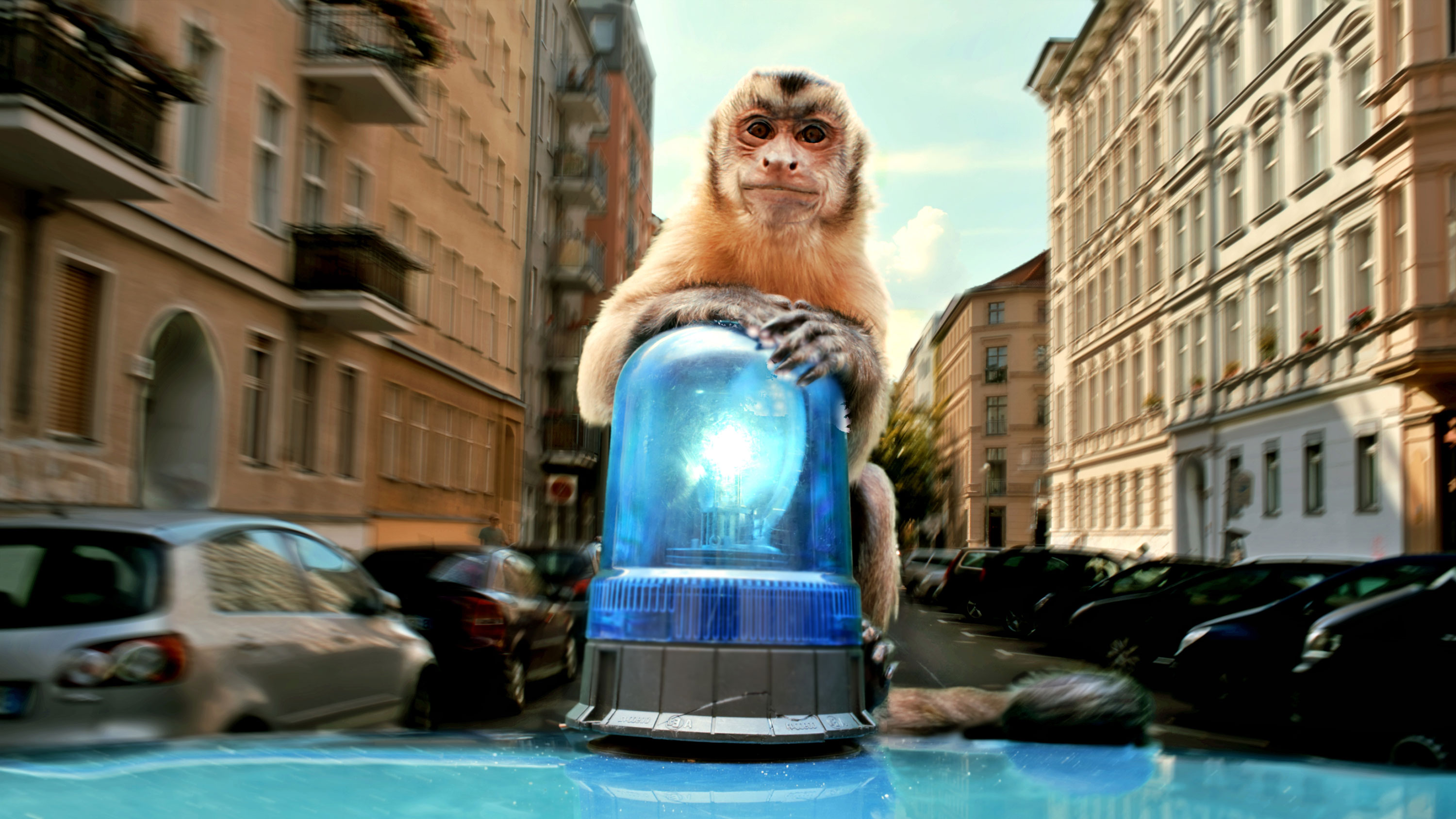 Szenenbild aus dem Film „Akiko – Der fliegende Affe“