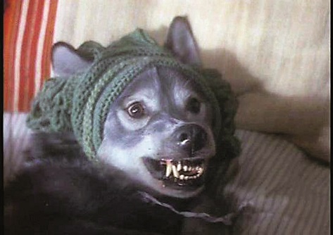 Szenenbild aus dem Film „Rotkäppchen - Abschied vom Zauberwald“